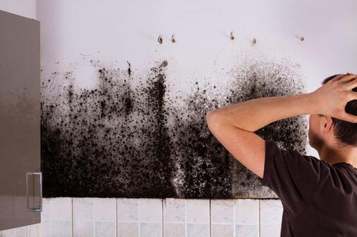 51672267 - man shocked to mold a kitchen cabinet.